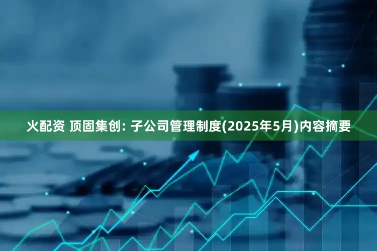 火配资 顶固集创: 子公司管理制度(2025年5月)内容摘要