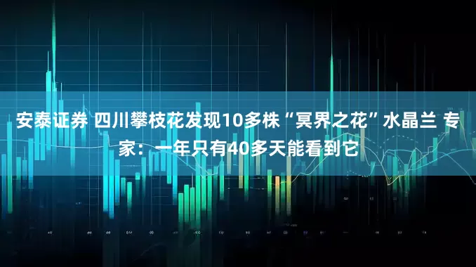 安泰证券 四川攀枝花发现10多株“冥界之花”水晶兰 专家：一年只有40多天能看到它