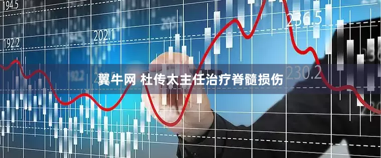 翼牛网 杜传太主任治疗脊髓损伤